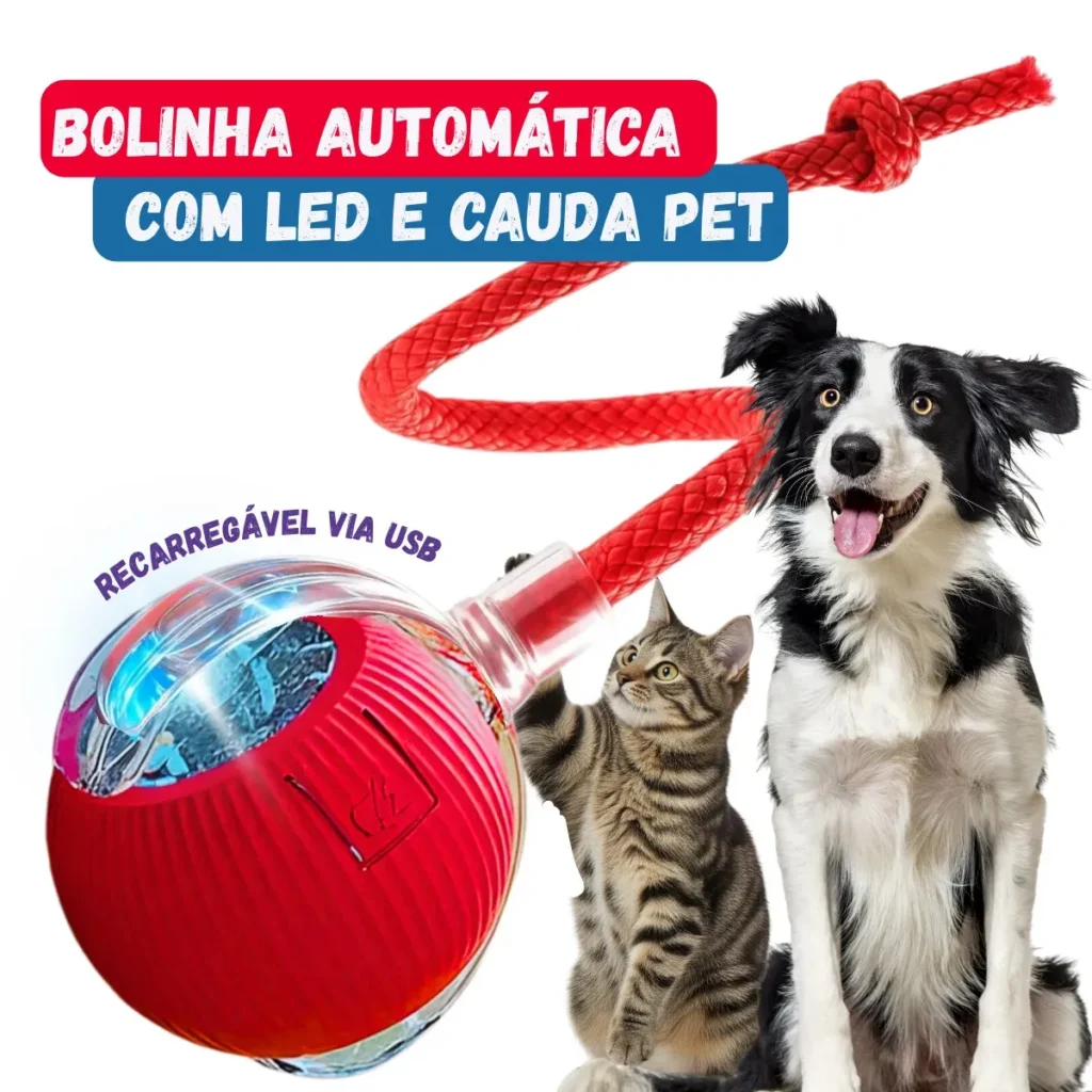 Guia de como deixar o cão sozinho com bolinha inteligente automática