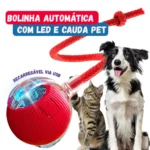 Guia de como deixar o cão sozinho com bolinha inteligente automática