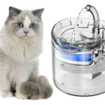 fontes de agua para gatos