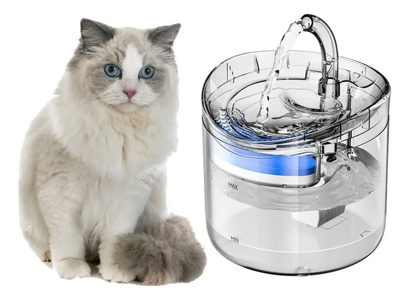 fontes de agua para gatos