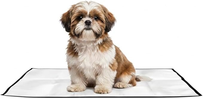 Melhor tapete higiênico lavável Pet Wash da São Benedito Pet para cães
